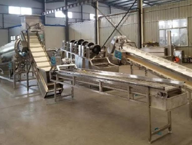 Potato Powder Production Plant